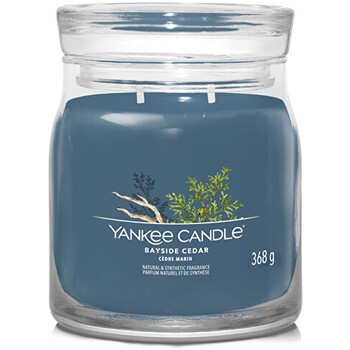 Bayside Cedar Signature Candle (pobrežný céder) - Vonná sviečka
